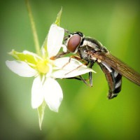 /album/centre-dappel-france/photolia-a02-jpg/